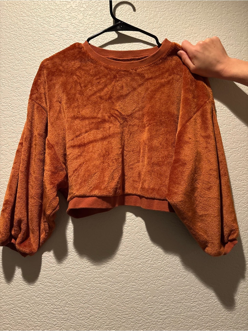 Urban Outfitters Rust Orange Plush Cropped Sweatshirt - Women